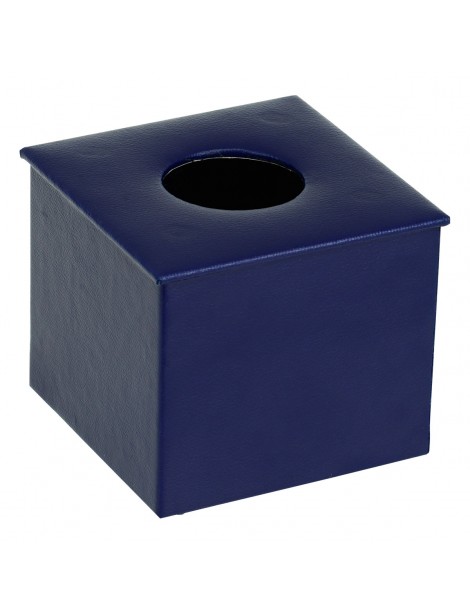 Tissue Roll Box Blue