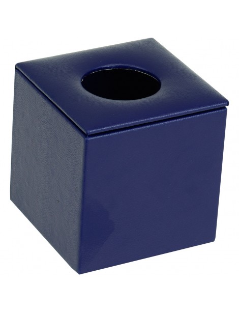 Tissue Roll Box Blue