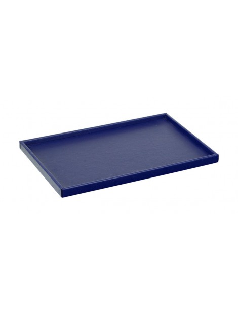 Service Tray Blue