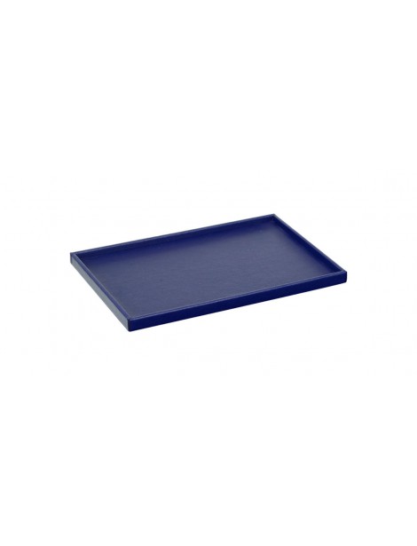 Service Tray Blue