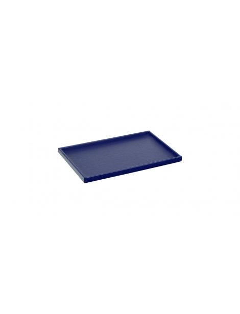 Service Tray Blue